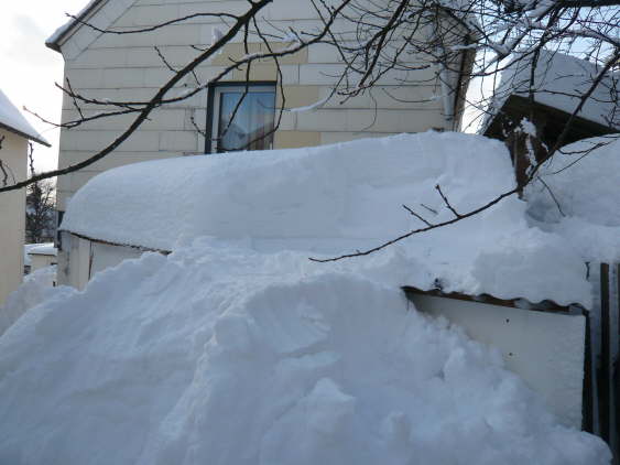 Winter 2010-2011